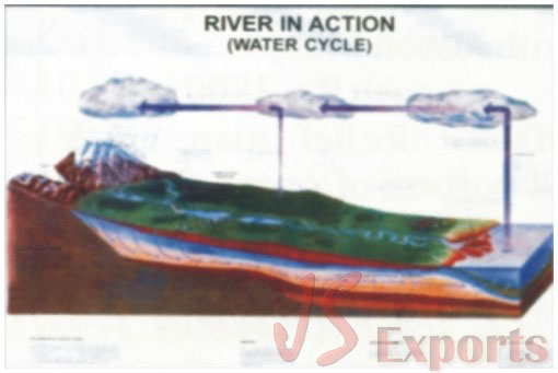 RIVER IN ACTION (Water Cycle)